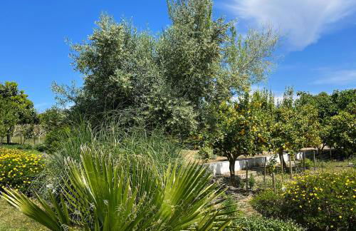 Casa de Campo, Quinta do Funchal - Foto 36