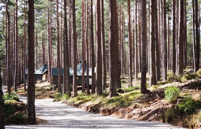 Cairngorm Bothies - Photo 24