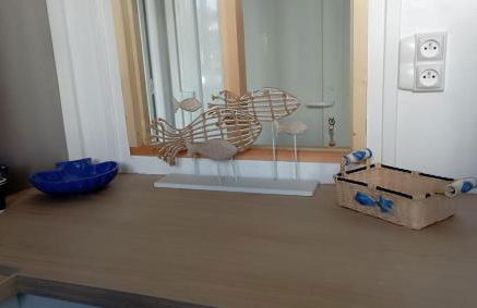 La Marinière, appartement avec garage, 2 étoiles à 100m de la mer - Foto 18