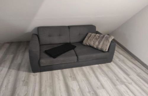 maison luxe césar aeroport tillé 2 a 7 personnes - Foto 2