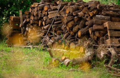 La Casa Rossa nell’Oasi verde - Foto 48