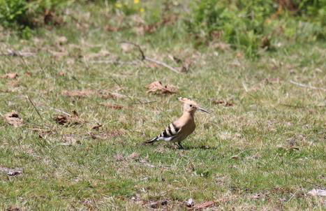 Quinta da Riba Má - Foto 29