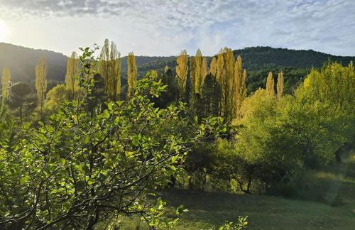 La Guijarroseña , Rio Madera - Foto 44