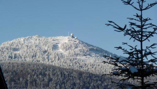 Am Waldrand - Foto 3