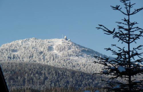 Am Waldrand - Foto 3