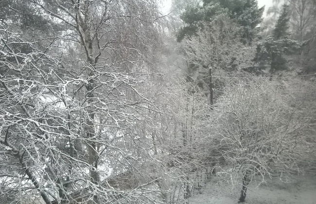 Spacious 4 Room Apartment & Sauna - Photo 1