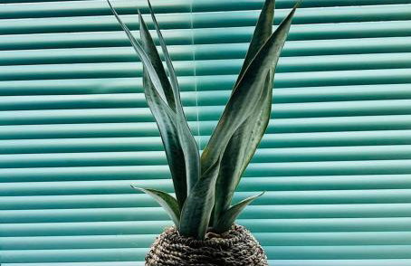 The Little Green Cosy Cottage - Photo 2