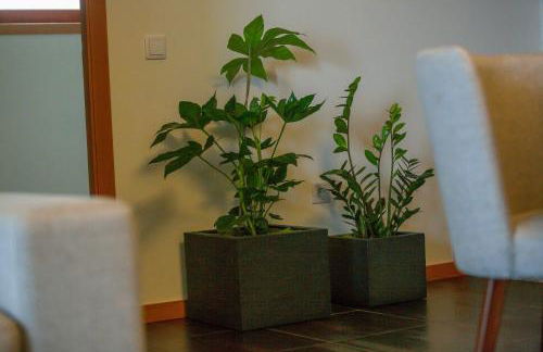 Recanto do Escalheiro - Foto 11