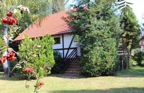 Domy na Kaszubach w Kamieniu - Foto 32