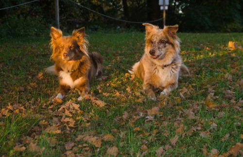 Spreebogenhof - Foto 35