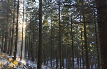 Kleine Pfalz im Casa del Cornelia - Foto 16