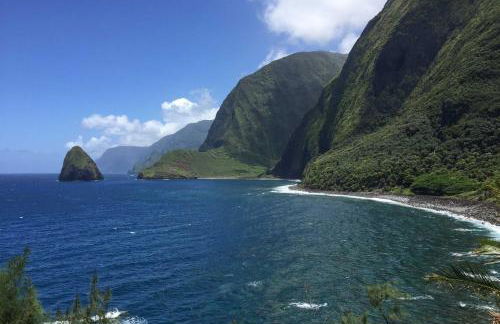 High-End Resort Condo Nestled on Molokai Shoreline - Foto 30