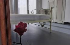 Gîte près de Sarlat avec jardin et salon de massages - Foto 9