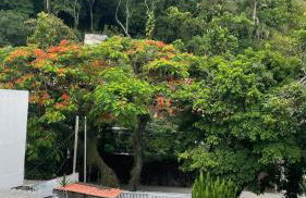 Confortável Apt a 800m da praia de Itacoatiara - Foto 26