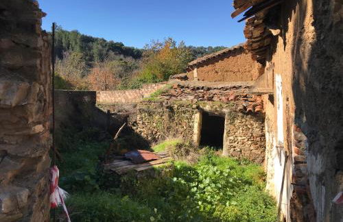 La Apañaora - Foto 51