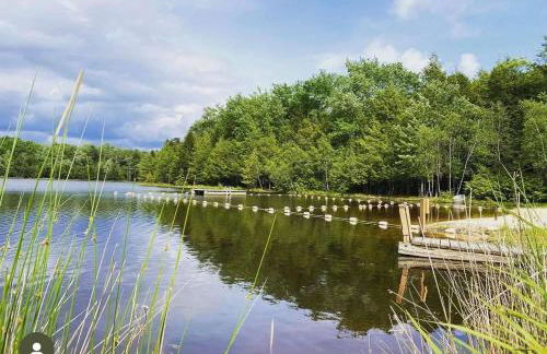 Lux Retreat with Indoor Swim Spa Game Lounge Theater Hot Tub Sauna - Foto 70