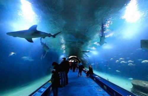 Apartamento Turístico en Valencia - Photo 51