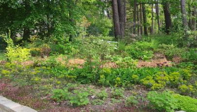 Maison Daubigny - Foto 5