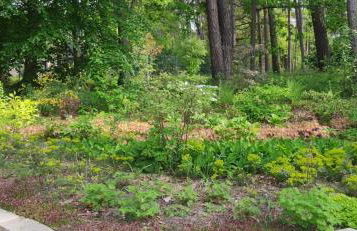 Maison Daubigny - Foto 5