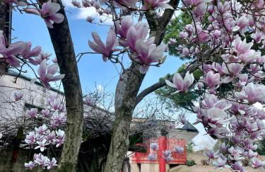 Villa Caffetto Dépendance nei pressi del Lago di Garda - Foto 24