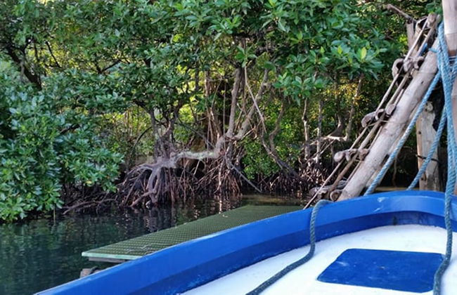 Bahay Isla Sanctuario - Foto 38