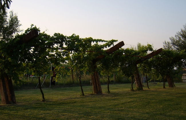 L'Antico Casale dei Sogni - Foto 42