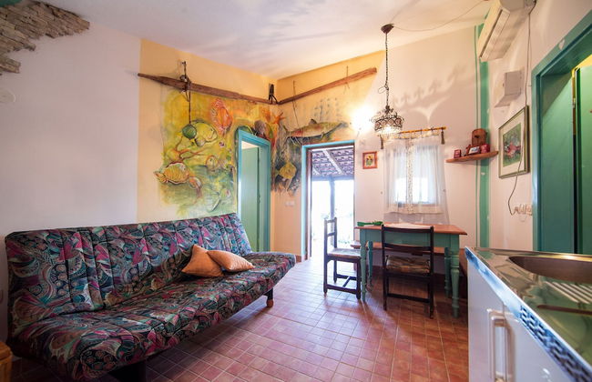 Victorious VIScovery Yellow - Foto 22