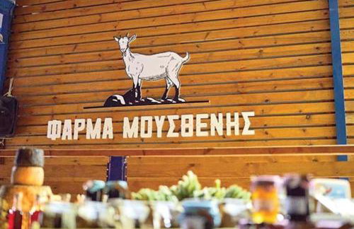 DIANA'S HOUSE - Foto 22