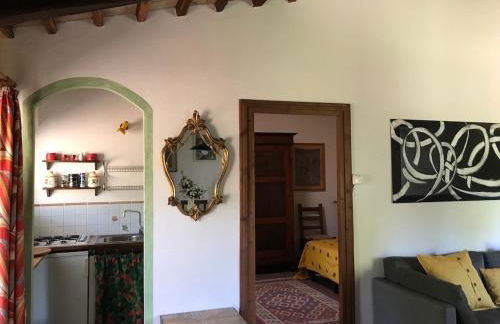 Podere Porcino - Foto 51