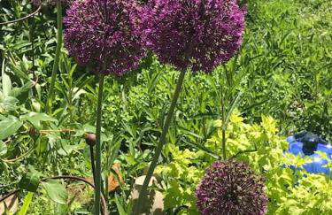 Cute studio cottage. Wood burner. Amazing views - Foto 3