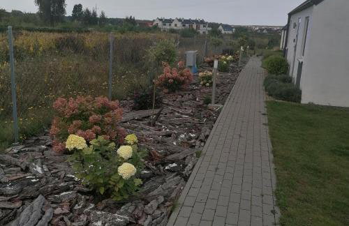 "Lawendowe Wzgórze" - Foto 54