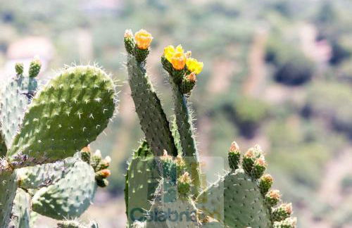 Villa Selene "Jole" - Foto 2