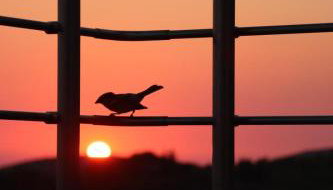 The View Villa - Foto 4