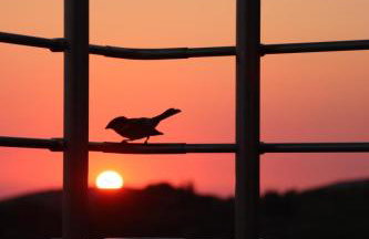 The View Villa - Foto 4