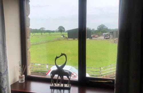 Mallard at Spring Head Farm - Foto 16