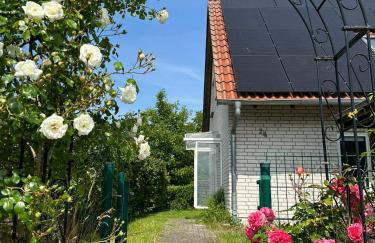 Haus am Bergsee - Photo 22