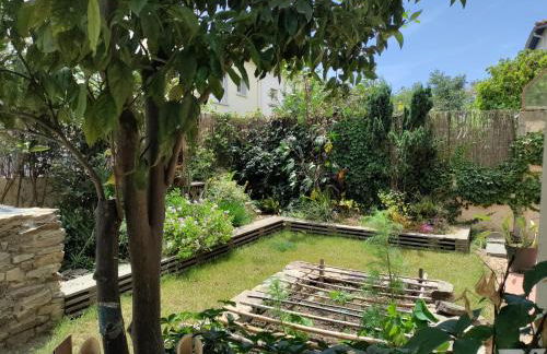 Les Papillons - Foto 3