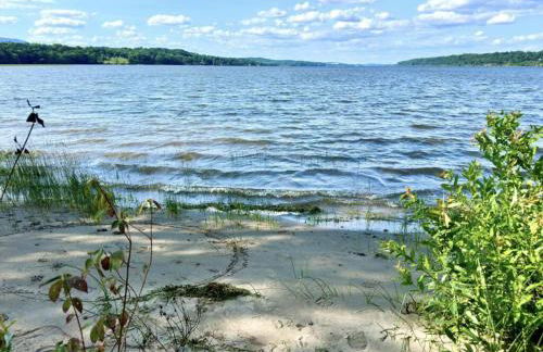 Modern Lakefront Retreat w King Bed - Foto 67