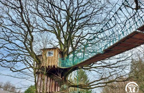 Le nid dans le chêne - Photo 34