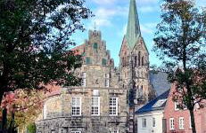 Allee zum See - Foto 25