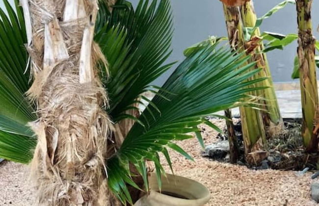 Villa The Art of House - 3 bedrooms - Pool - Foto 10