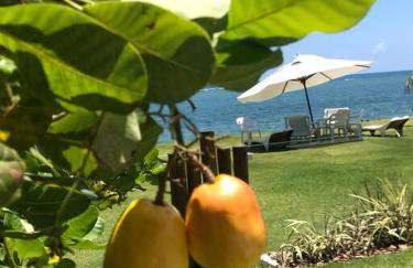 Casa Baleia, frente mar na Ilha de Itaparica! - Foto 6