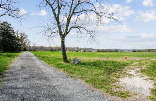 Centreville Waterfront Farm - 170 Acres - Pool - Private Dock - Private Beach - Foto 70