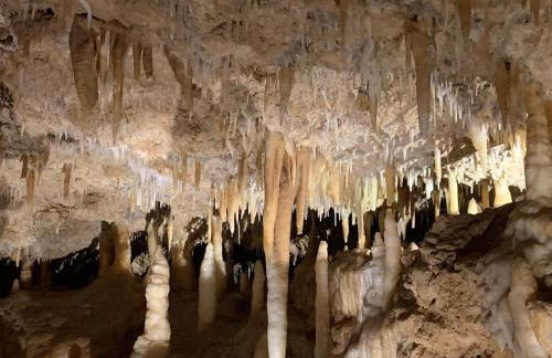 paysmillereves - Foto 48