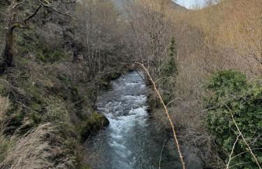 Lar da cima - Foto 38