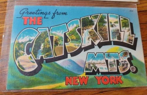 Panther Mountain Lodge - Photo 18