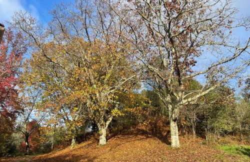 Le domaine du Martinet - Foto 22