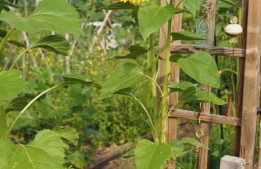 Romantische Wohnung Bauernhof, 100m2 offenes Dachgeschoss - Foto 13