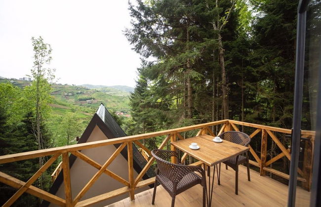 MONTANA SUITE BUNGALOW - Photo 64