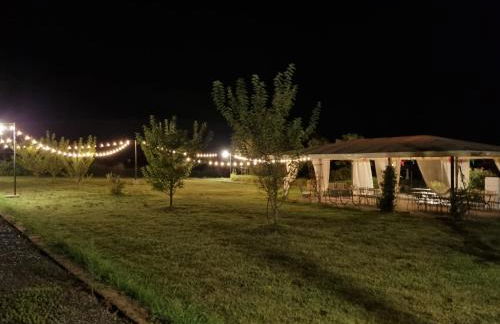 Agriturismo Cinque Novembre - Photo 26